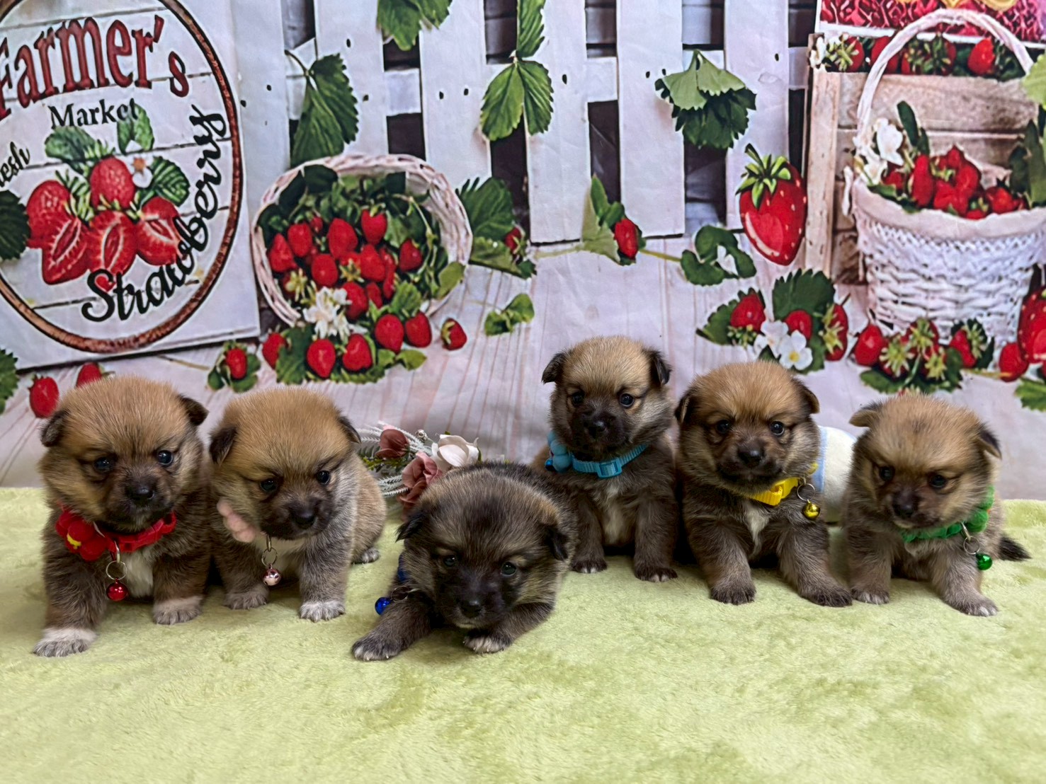 赤ちゃん写真2-3