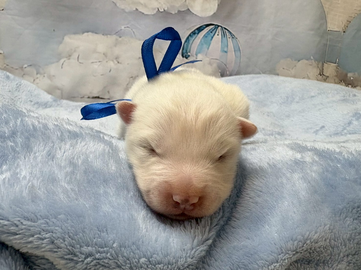 赤ちゃん写真1-1