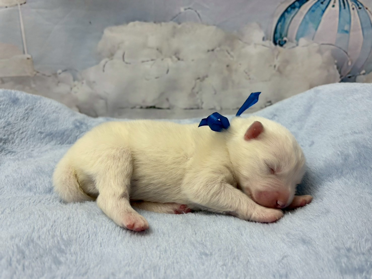 赤ちゃん写真1-2