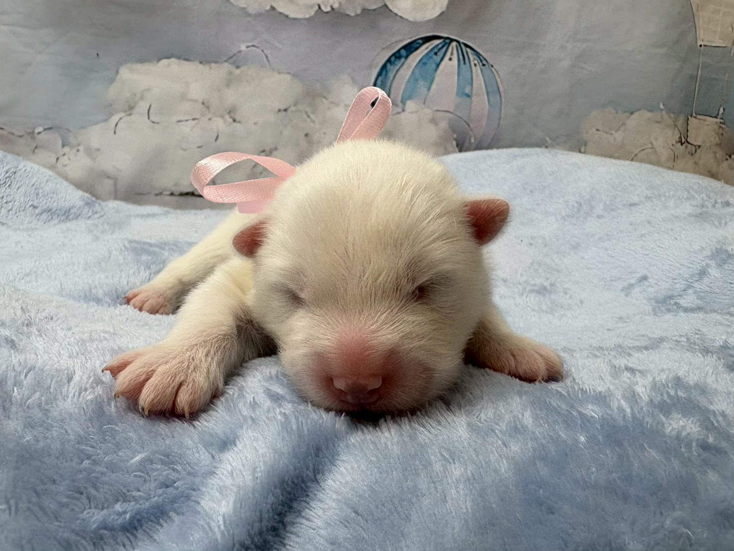 赤ちゃん写真1-1