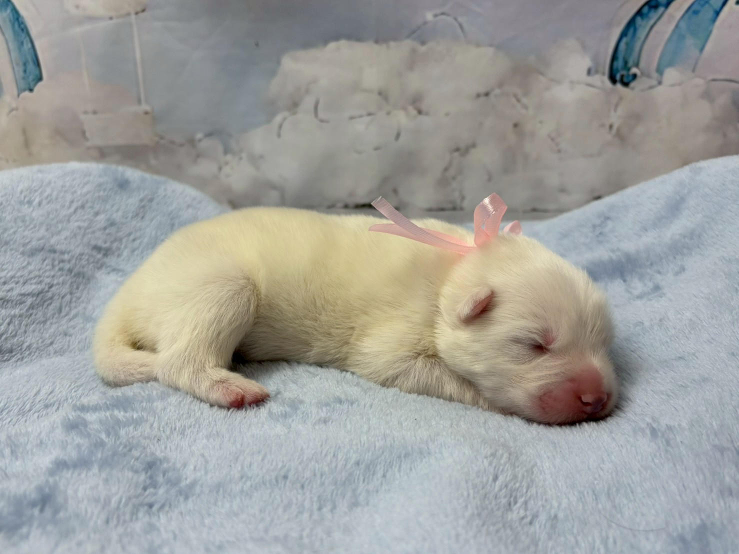 赤ちゃん写真1-2