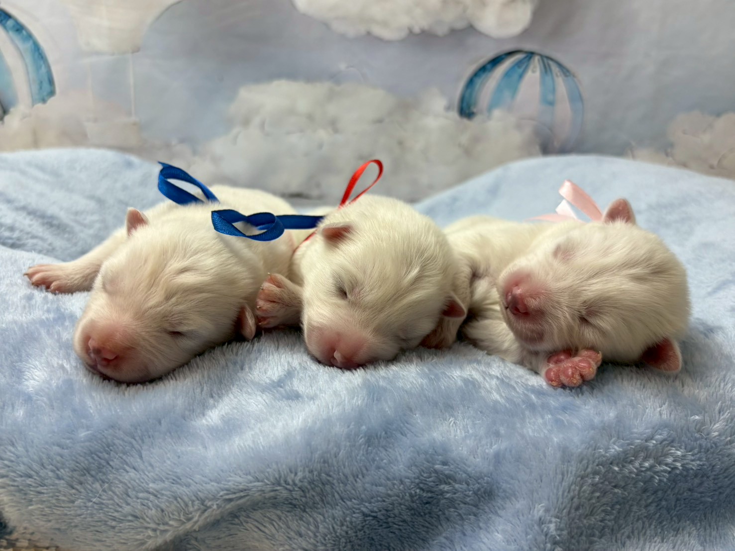 赤ちゃん写真1-3