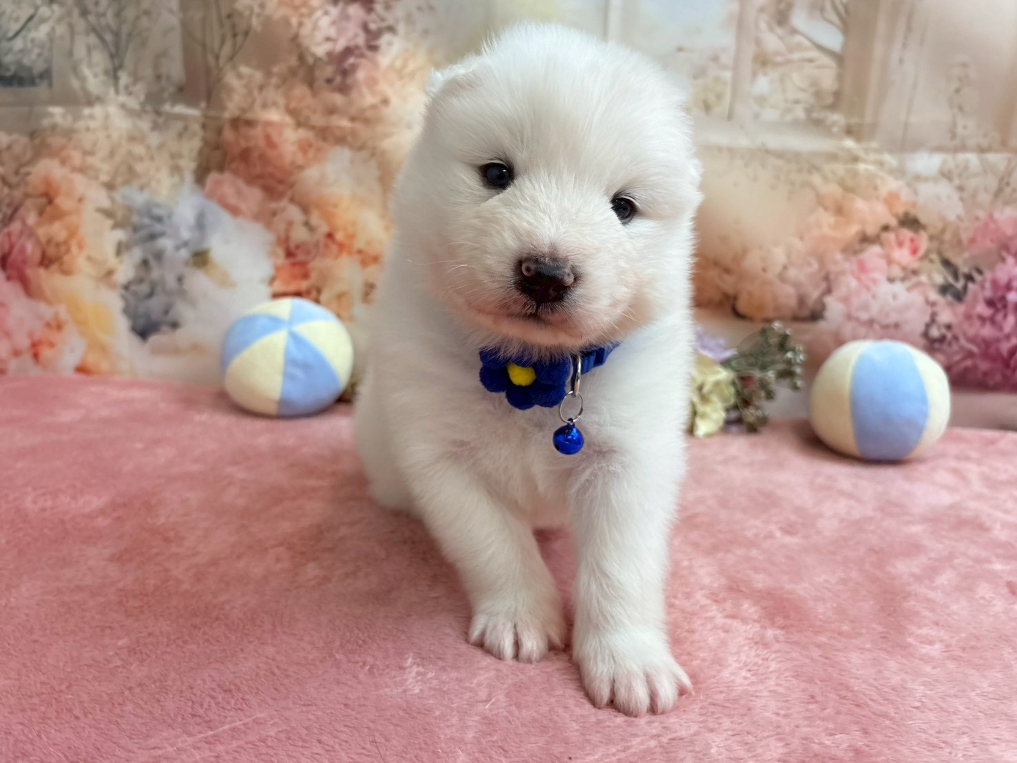 赤ちゃん写真2-1