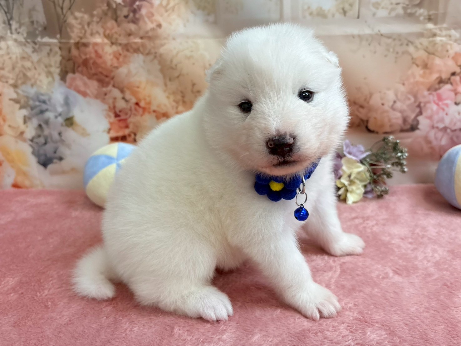 赤ちゃん写真2-2