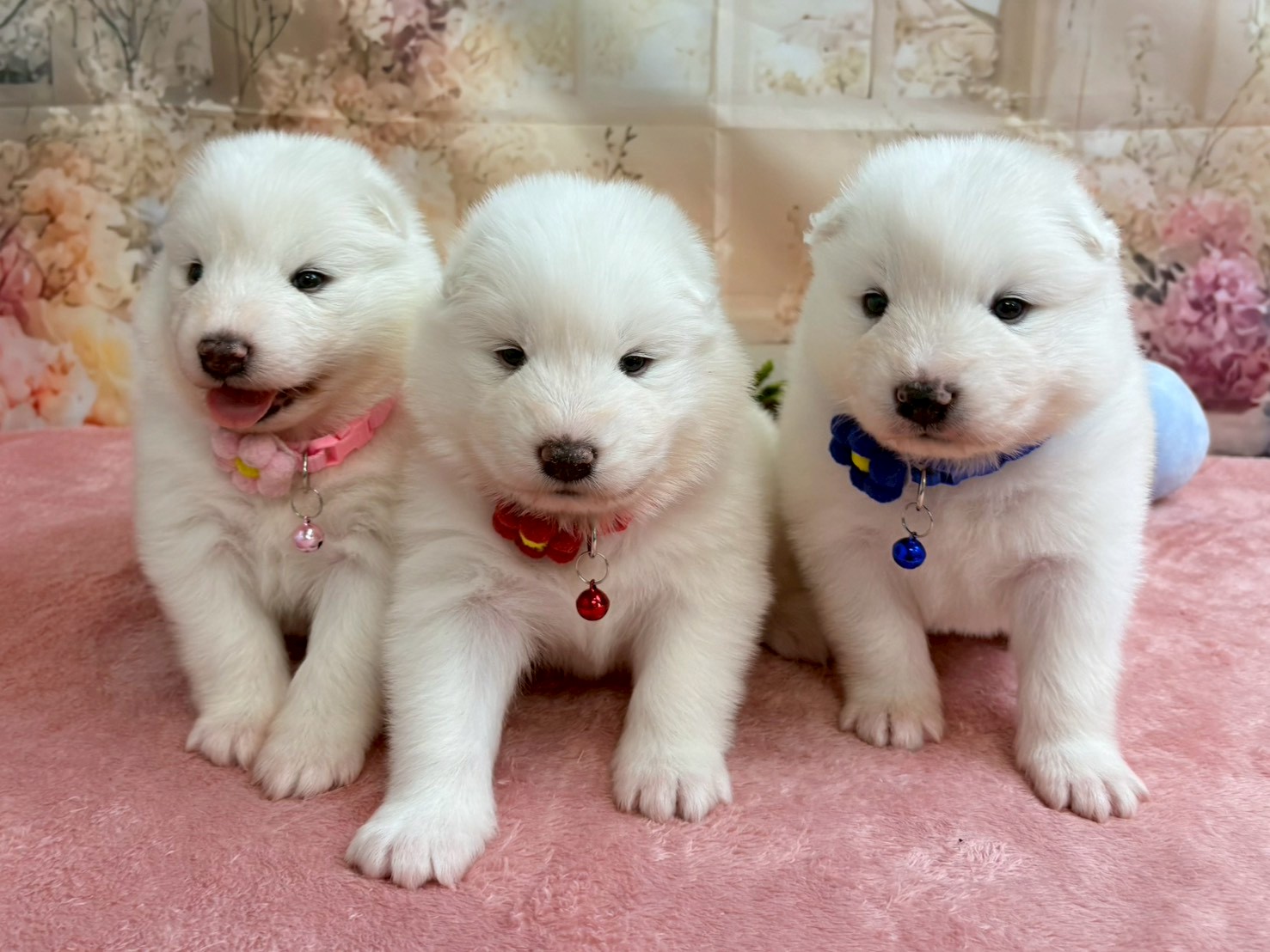 赤ちゃん写真2-3