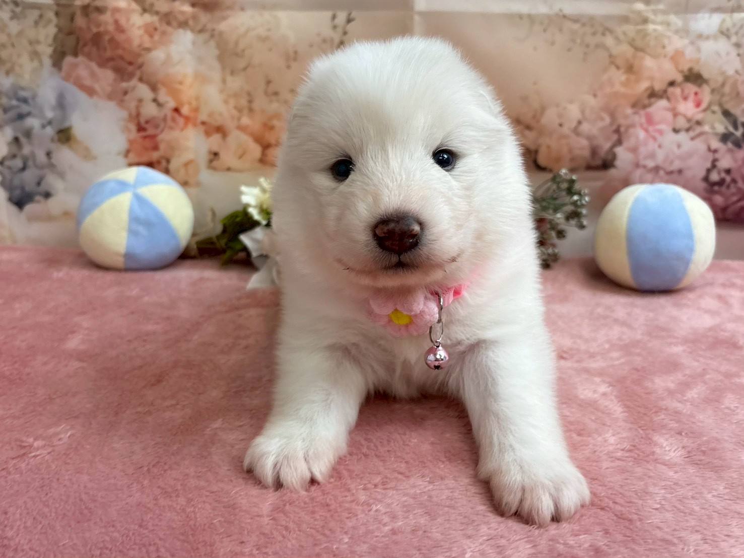 赤ちゃん写真2-1