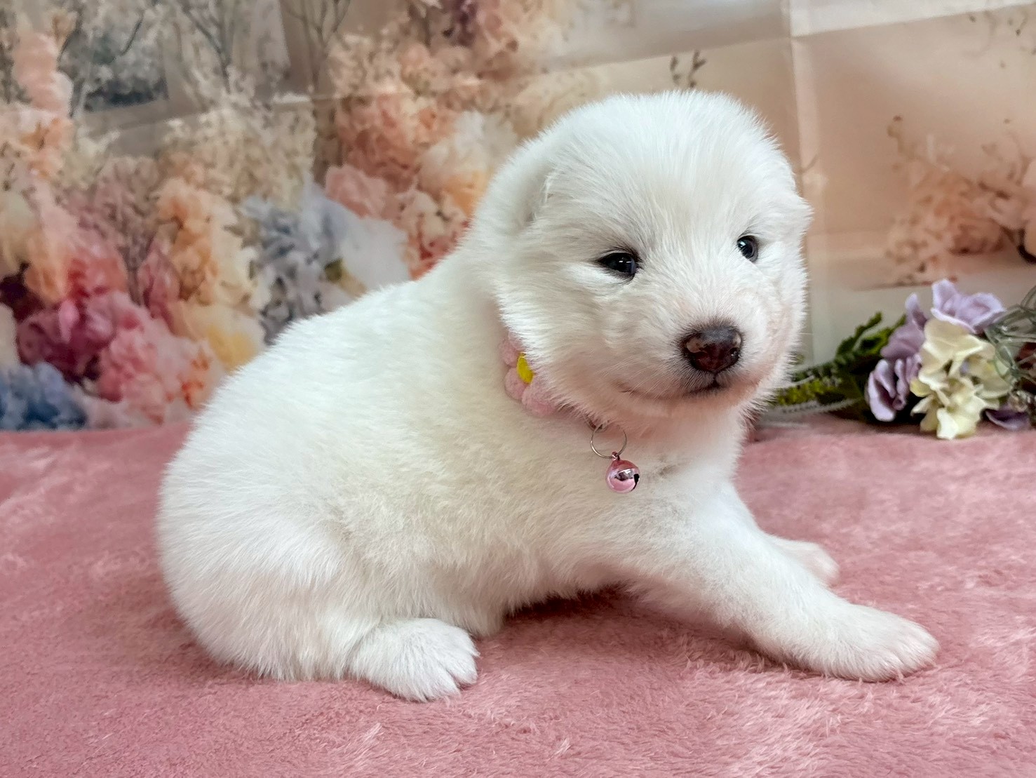 赤ちゃん写真2-2