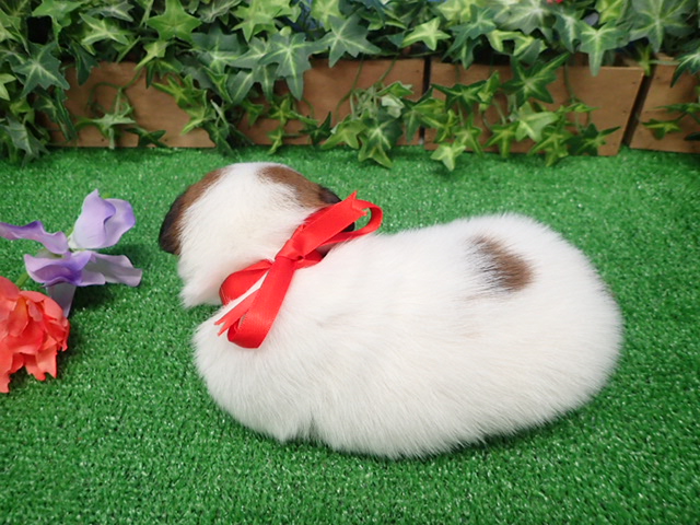 赤ちゃん写真2-3