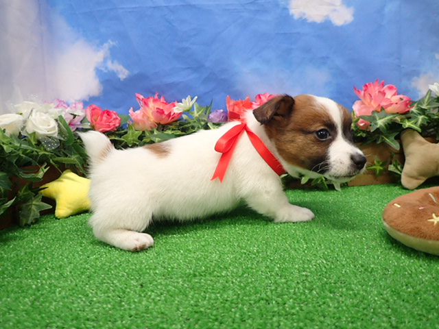 赤ちゃん写真3-2