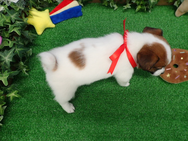 赤ちゃん写真3-3