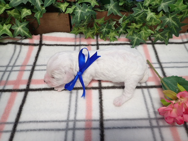 赤ちゃん写真1-3