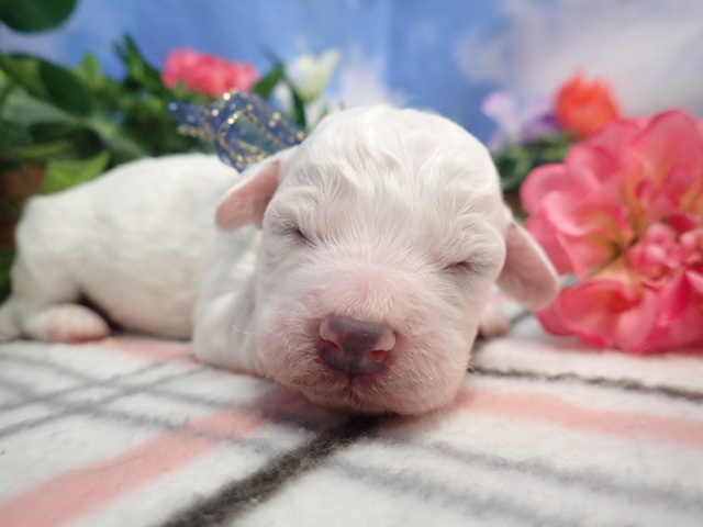 赤ちゃん写真1-1