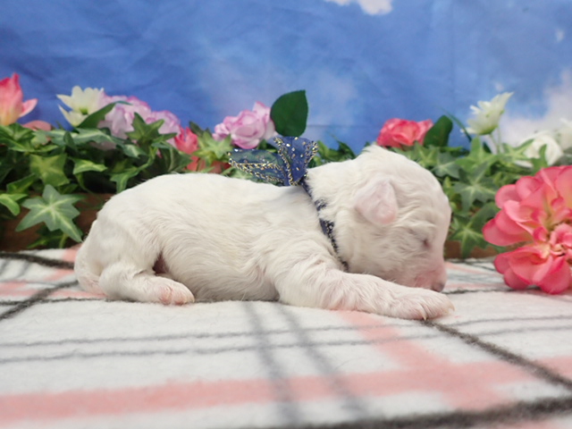 赤ちゃん写真1-2