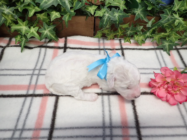 赤ちゃん写真1-3