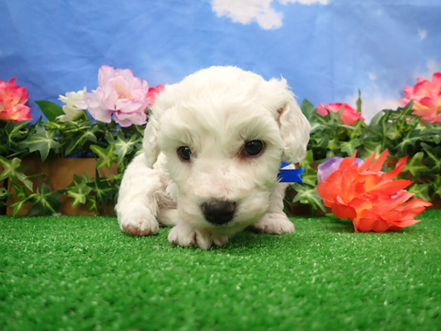 赤ちゃん写真2-1