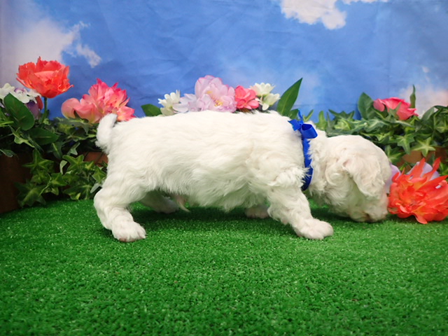 赤ちゃん写真2-2