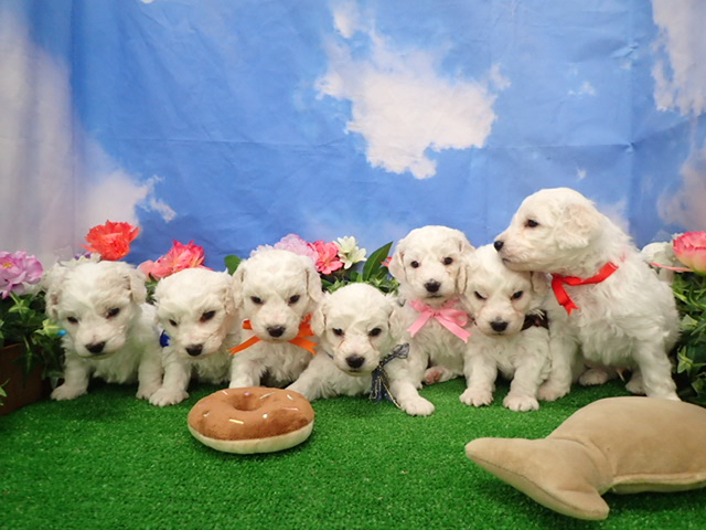 赤ちゃん写真2-3