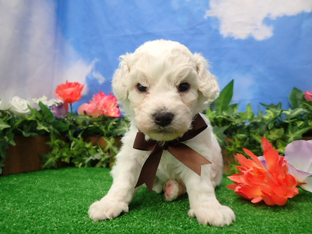 赤ちゃん写真2-1