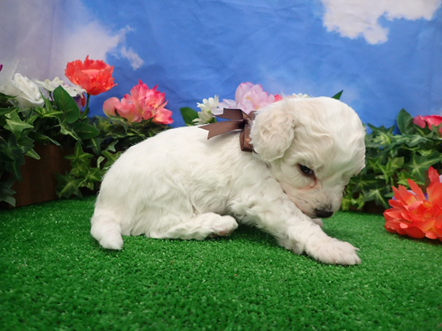 赤ちゃん写真2-2