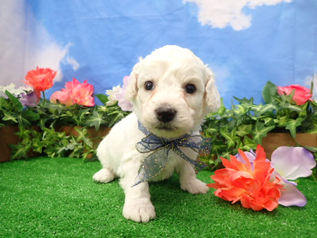 赤ちゃん写真2-1