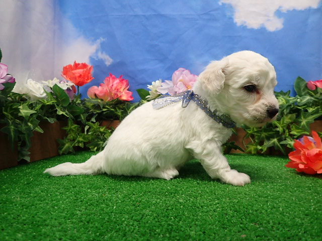 赤ちゃん写真2-2