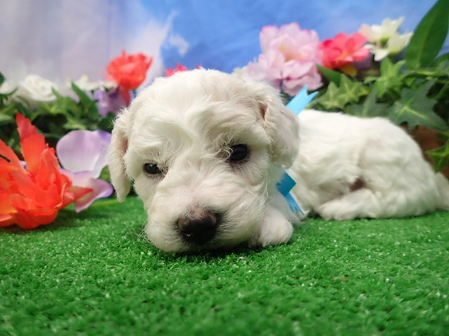 赤ちゃん写真2-1