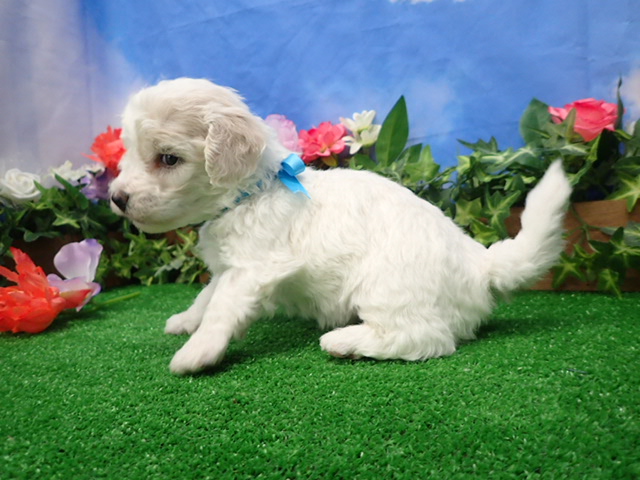 赤ちゃん写真2-2