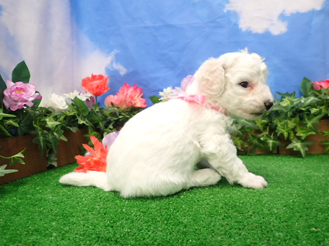 赤ちゃん写真2-2