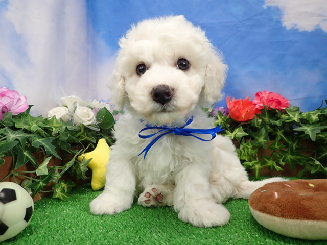 赤ちゃん写真3-1