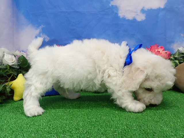 赤ちゃん写真3-2