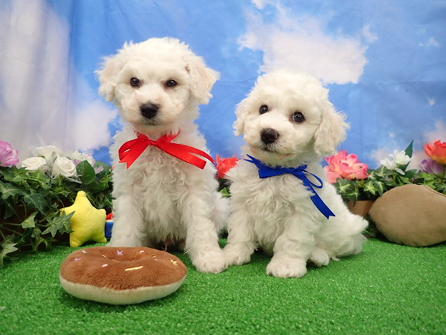 赤ちゃん写真3-3