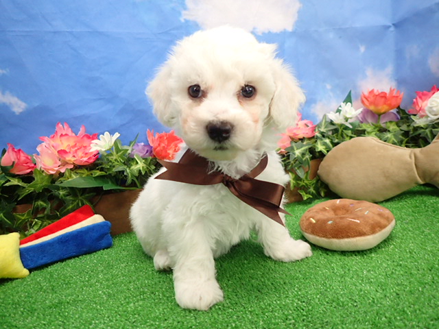 赤ちゃん写真3-1