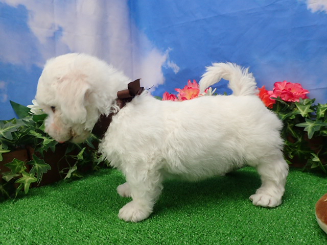 赤ちゃん写真3-2