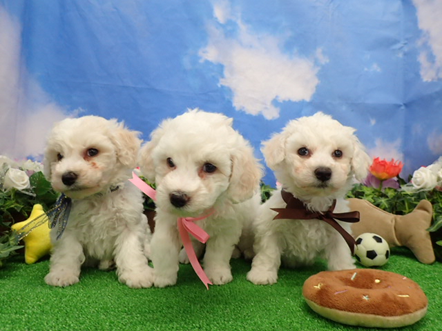 赤ちゃん写真3-3