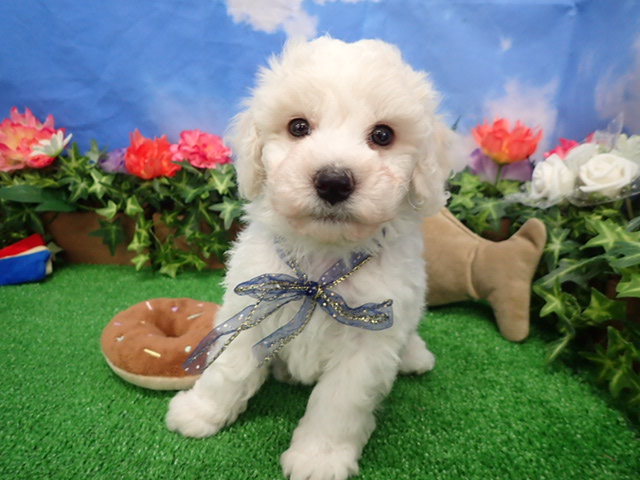 赤ちゃん写真3-1