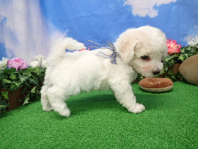 赤ちゃん写真3-2