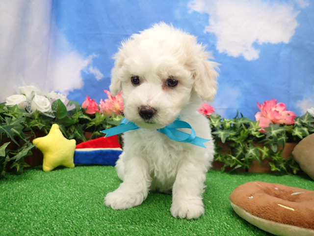 赤ちゃん写真3-1