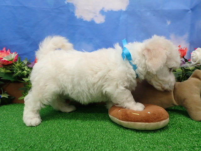 赤ちゃん写真3-2