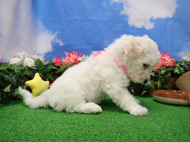 赤ちゃん写真3-2