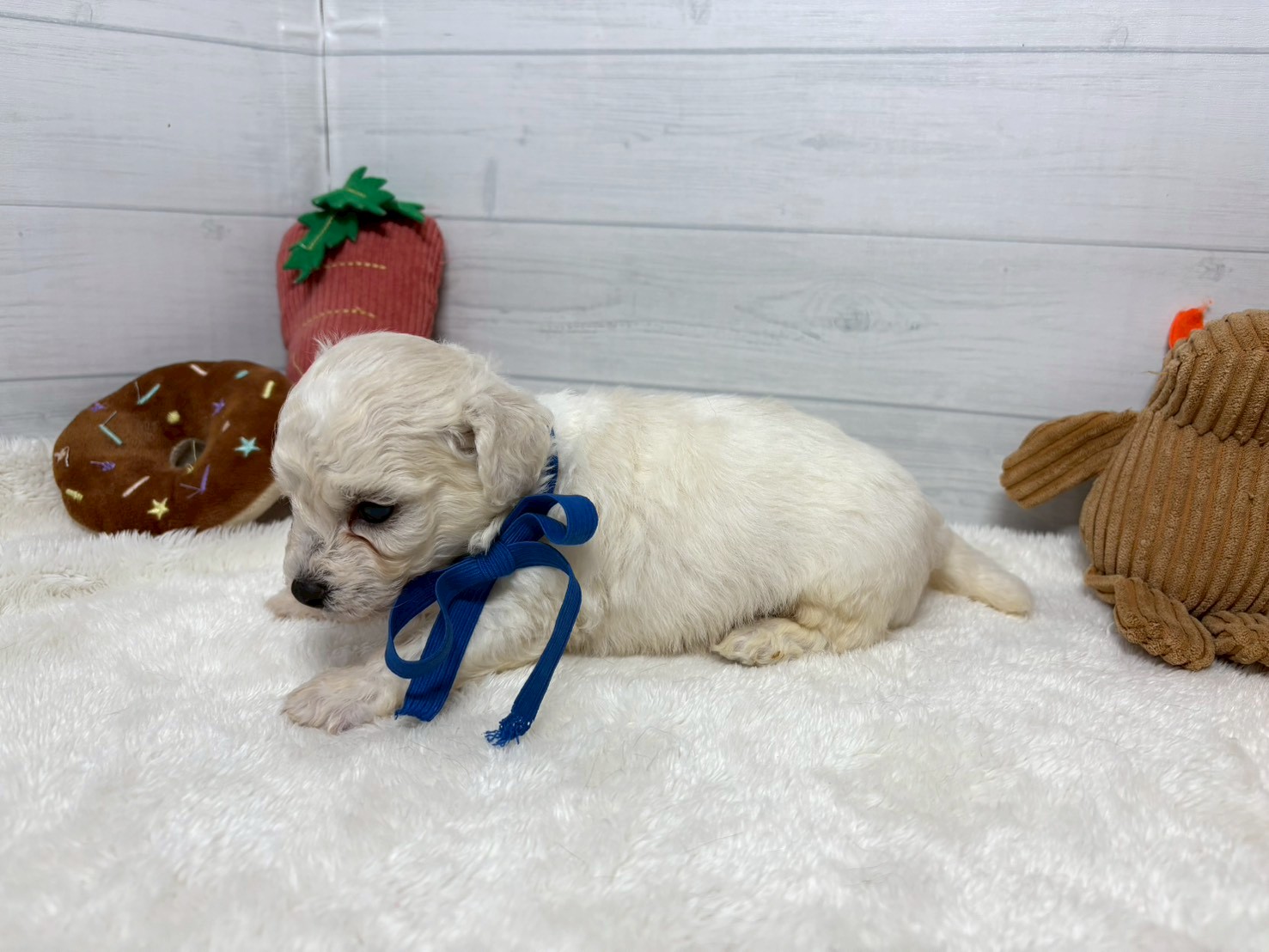 赤ちゃん写真2-2