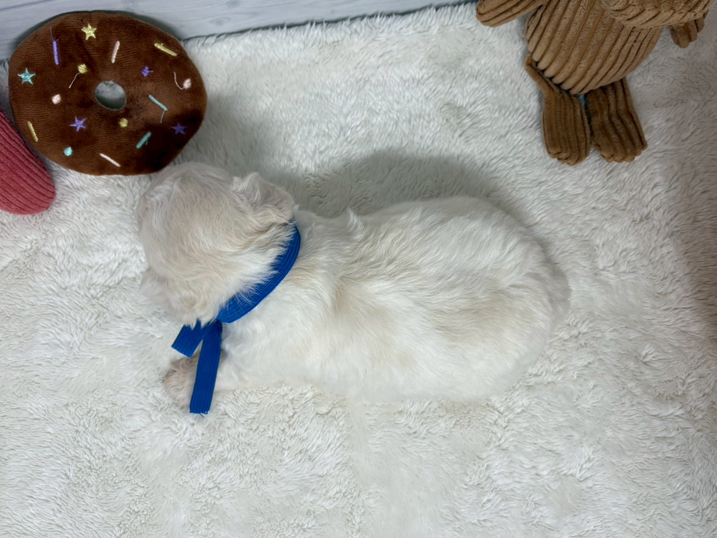 赤ちゃん写真2-3