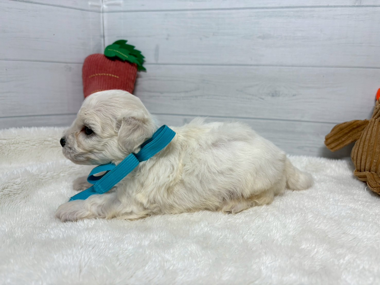 赤ちゃん写真2-2