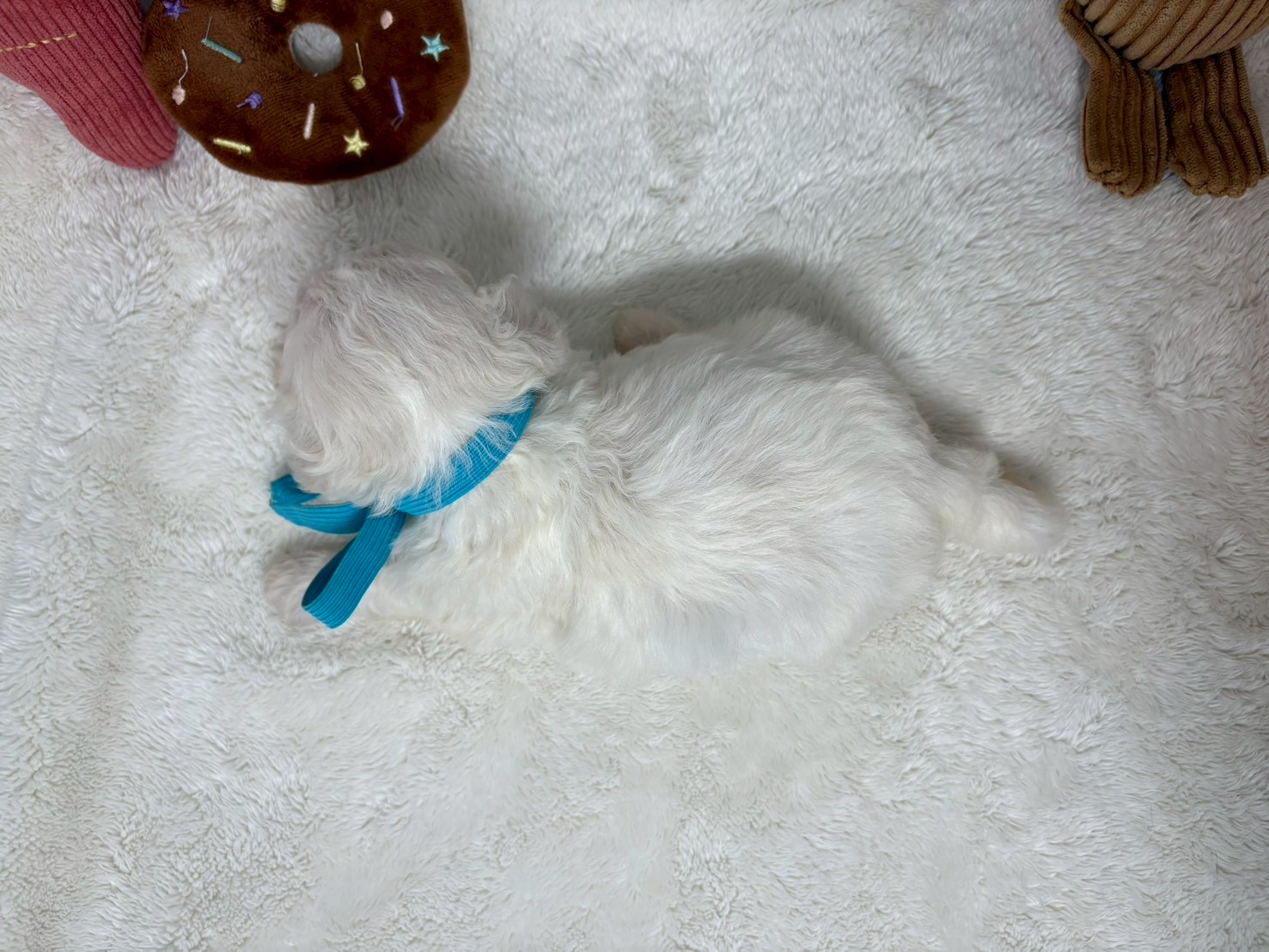 赤ちゃん写真2-3