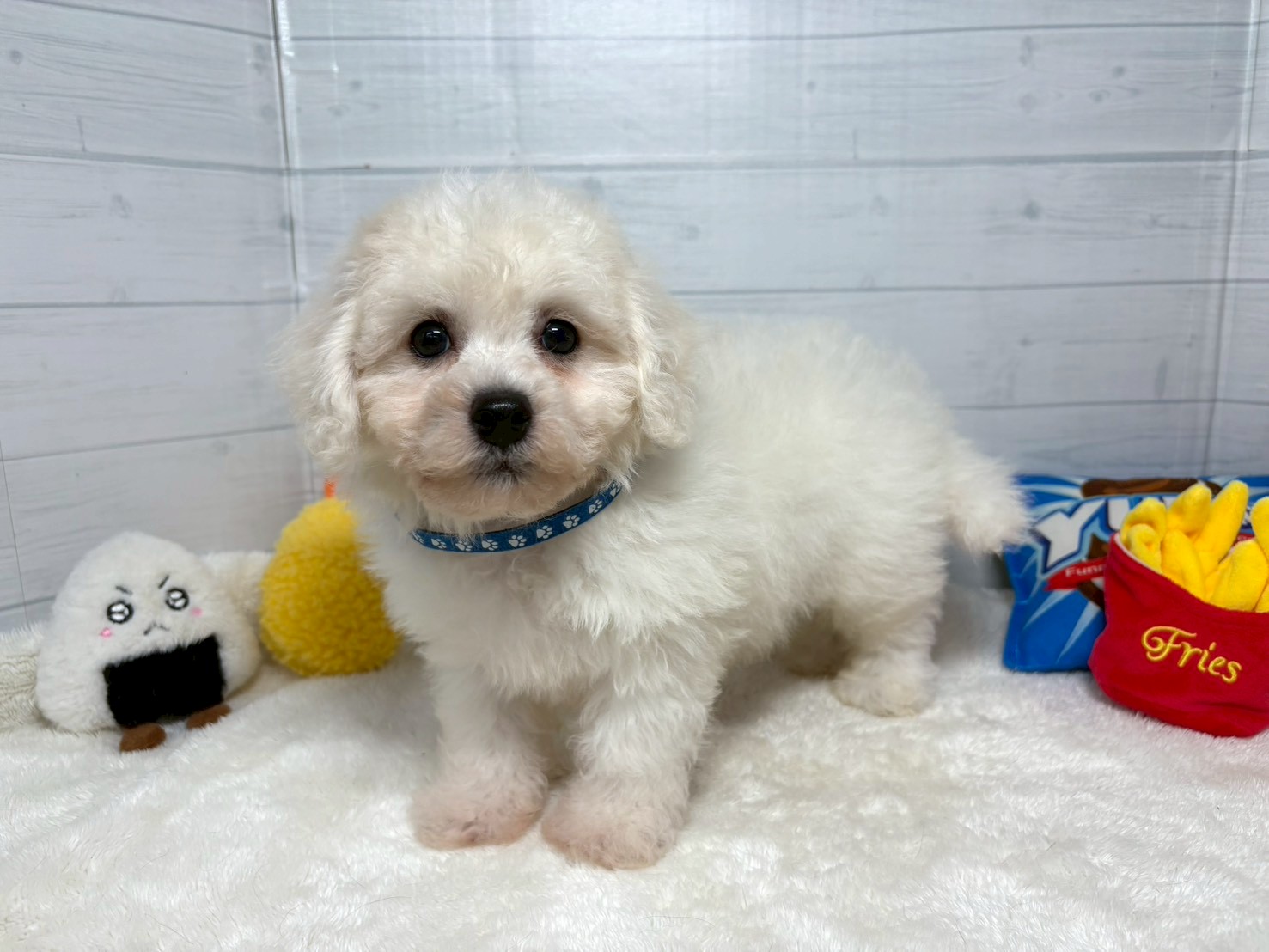 赤ちゃん写真3-1