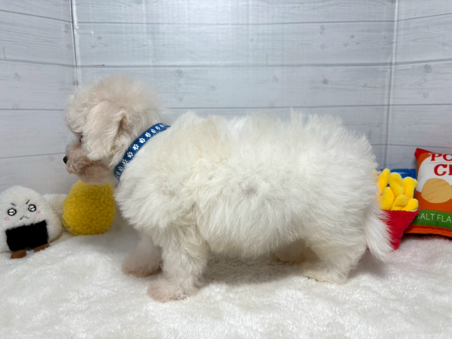 赤ちゃん写真3-2