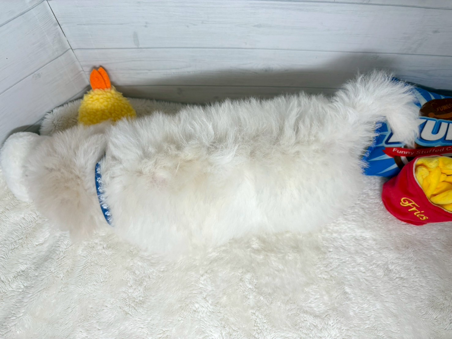 赤ちゃん写真3-3