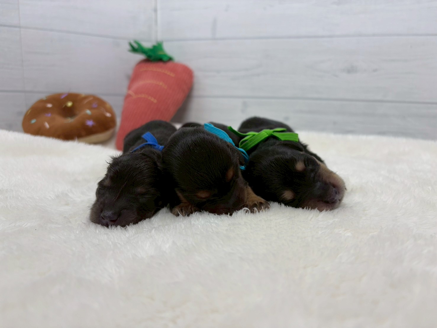赤ちゃん写真1-3