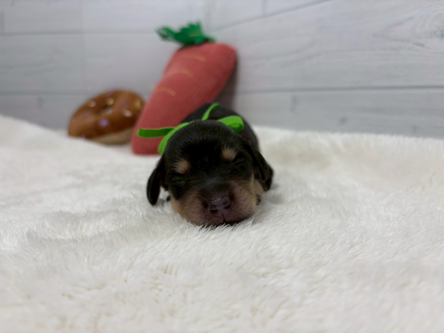 赤ちゃん写真1-1