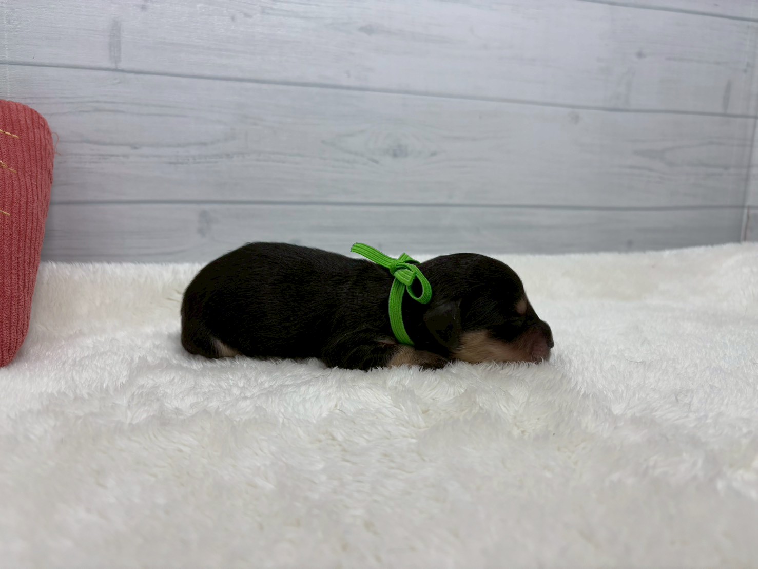赤ちゃん写真1-2
