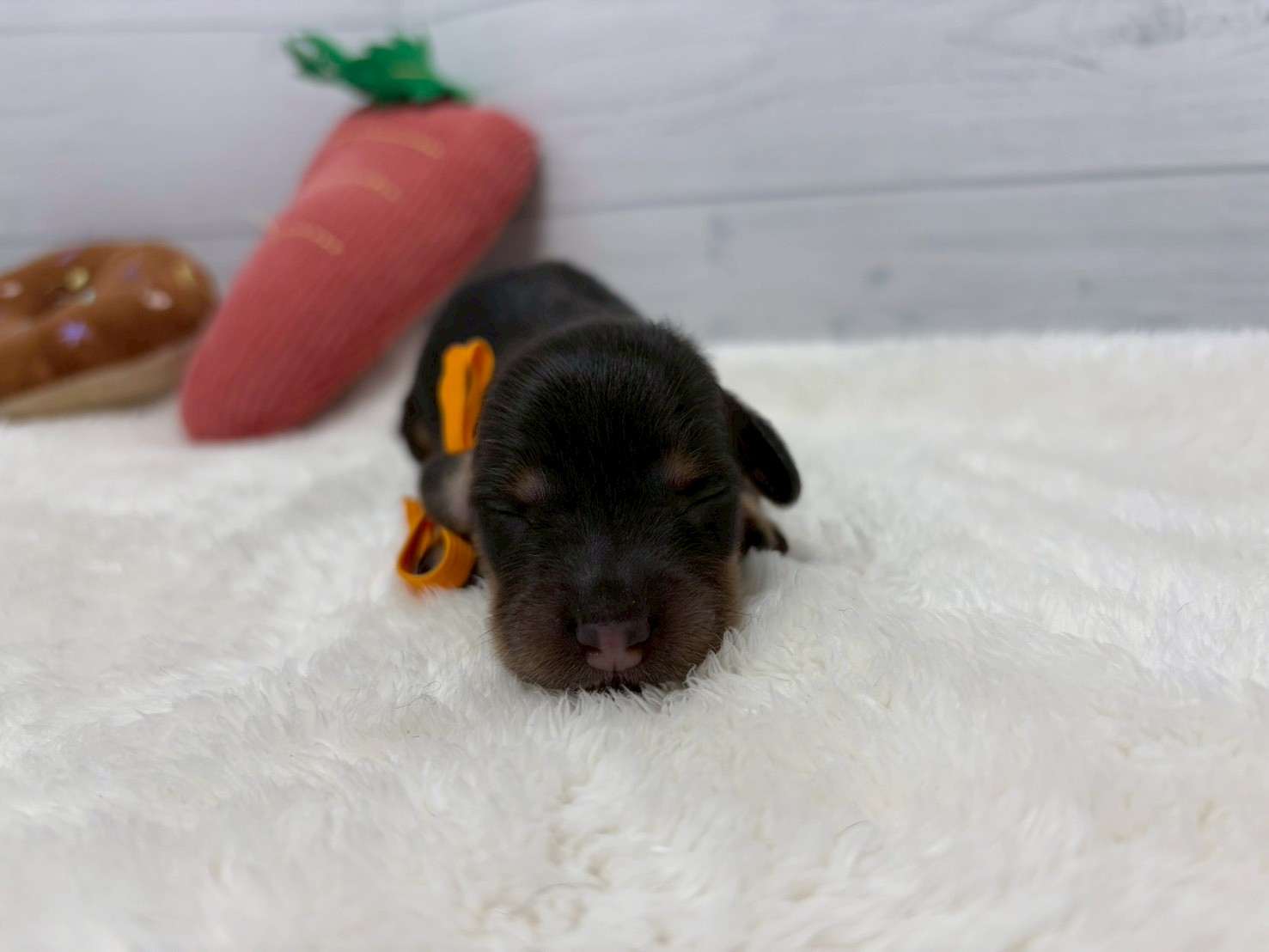 赤ちゃん写真1-1